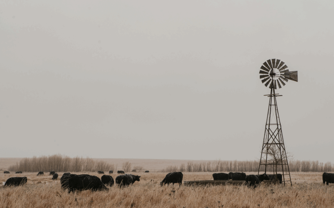 Settling in Fort Scott, Kansas